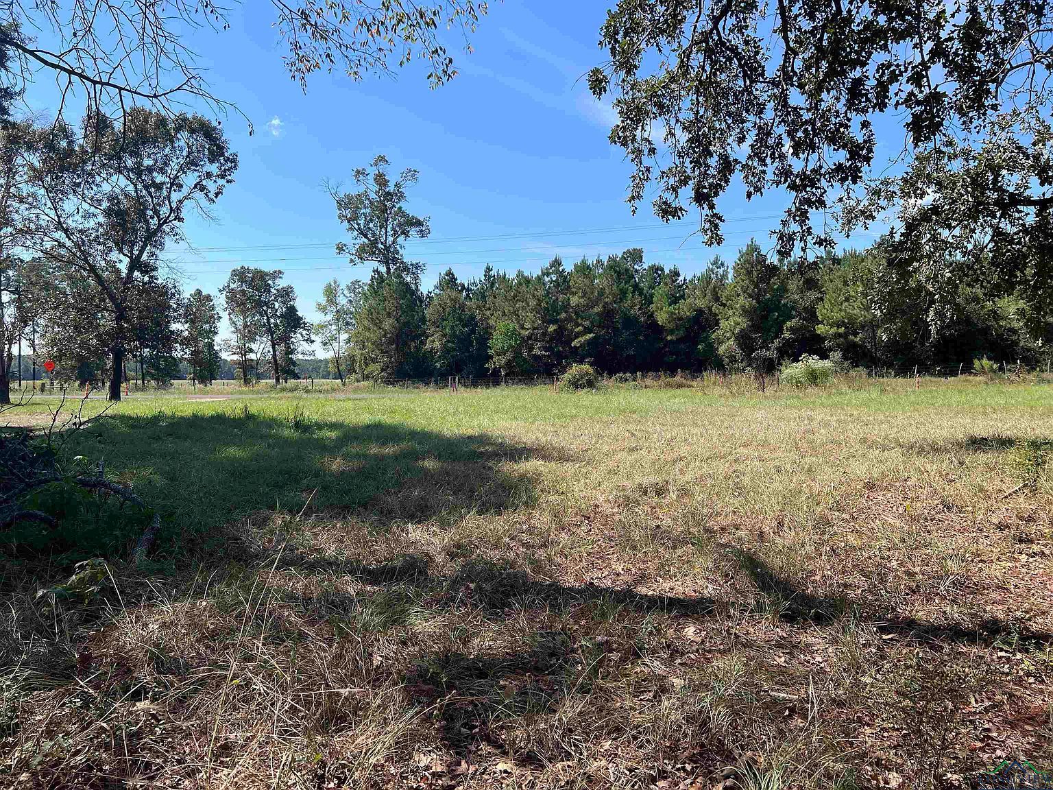 142 Cotton Thompson Rd Lufkin, TX 75901 - Thumbnail 3