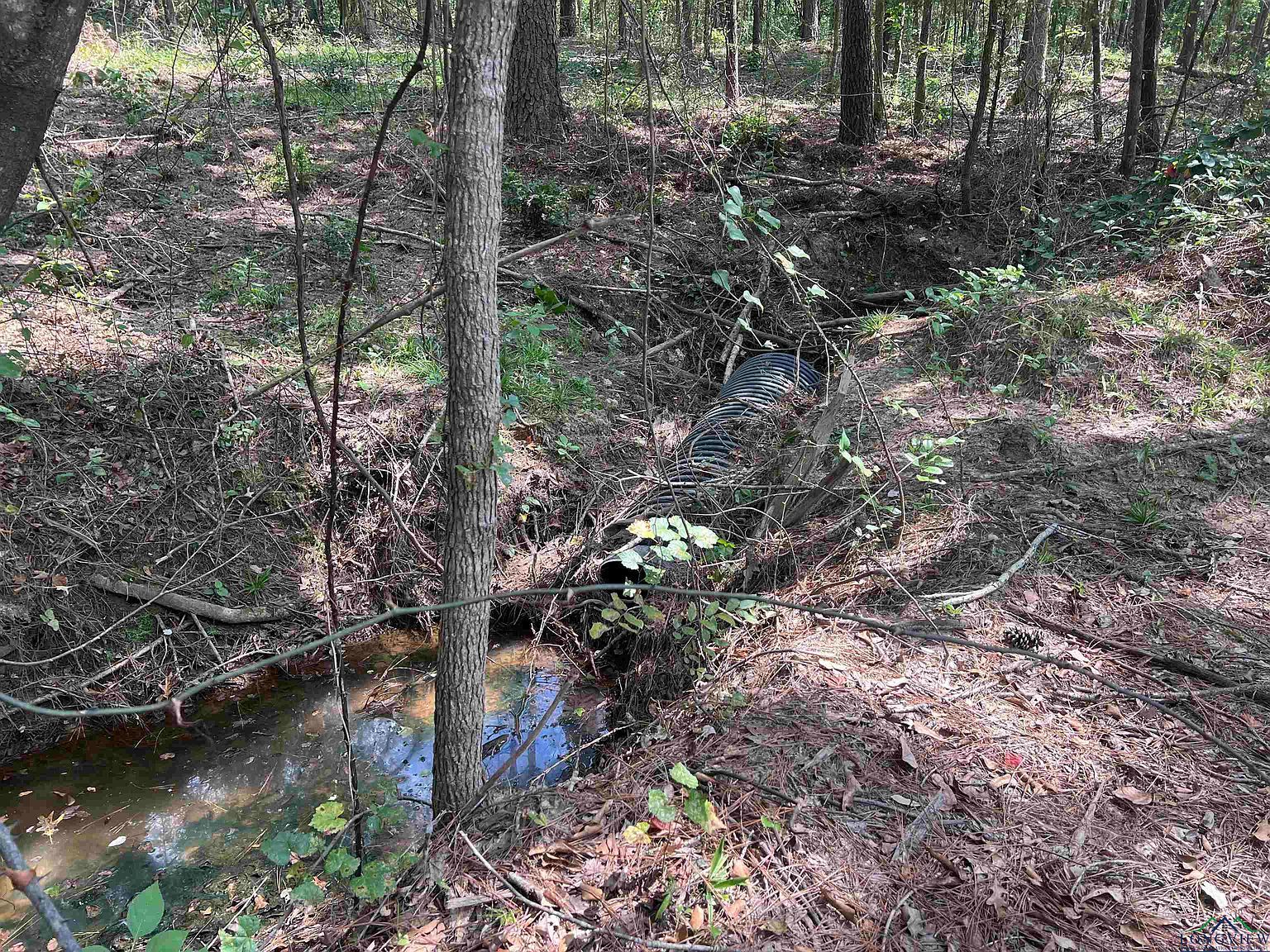 County Road 476 S Henderson, TX 75654 - Thumbnail 3