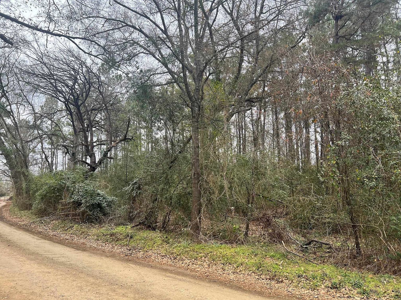 606 County Road 3140 Center, TX 75935 - Thumbnail 3