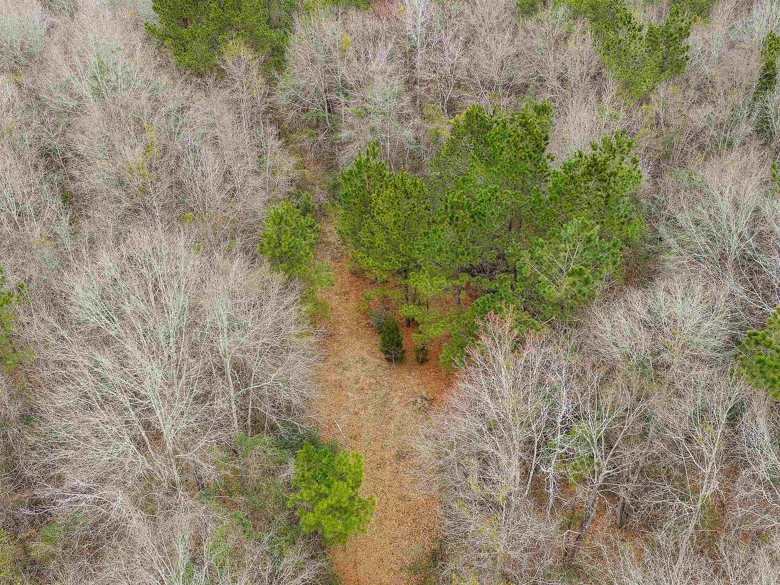 Saint Hwy #147 Center, TX 75935 - Thumbnail 3