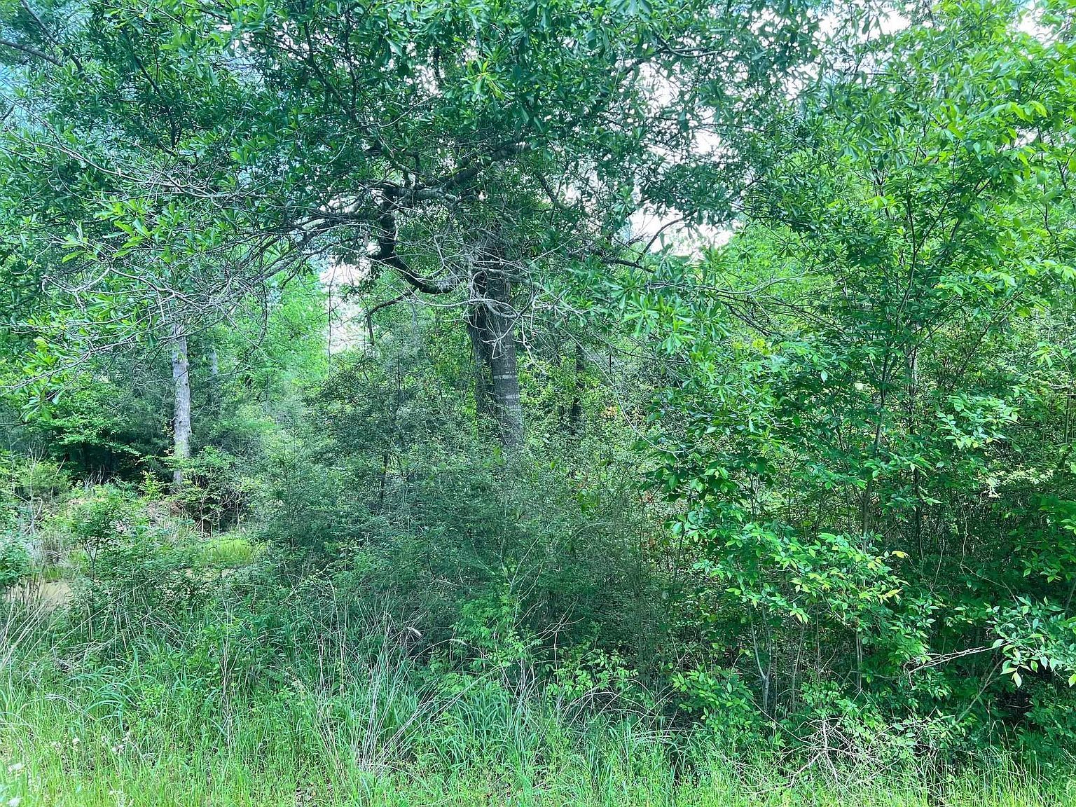 N Highway 87 N Center, TX 75935 - Thumbnail 3