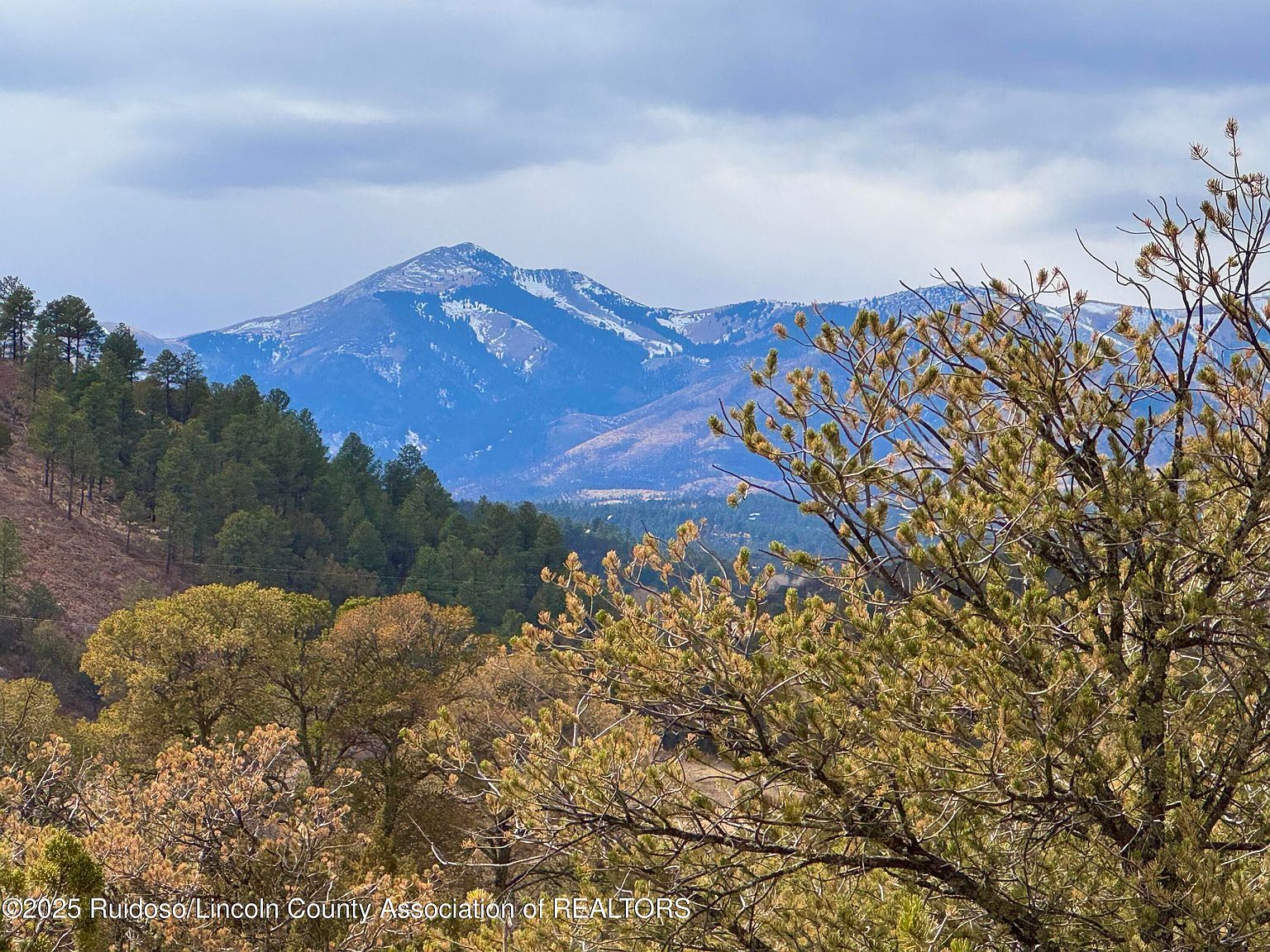 1146 Shoshone Trl Alto, NM 88312 - Thumbnail 3