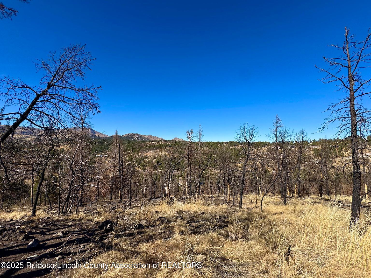 104 Via Aguila Alto, NM 88312 - Thumbnail 3