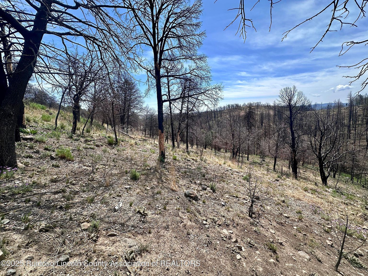 11 Alpine Village Rd Ruidoso, NM 88345 - Thumbnail 3