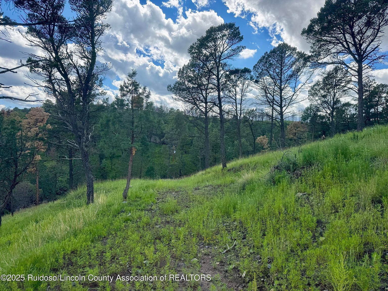 111 Gila Pl Ruidoso, NM 88345 - Thumbnail 3