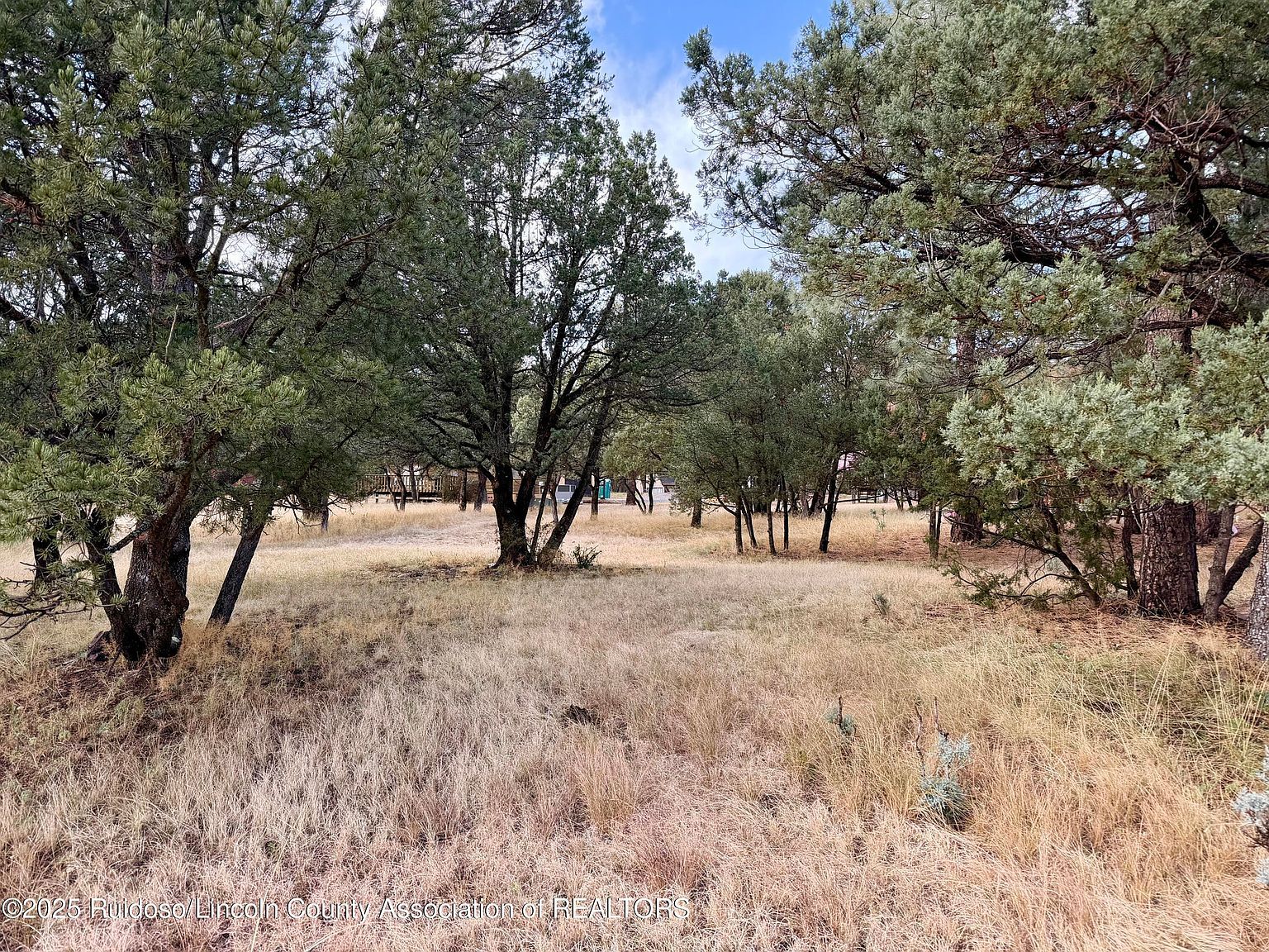 109 Mira Monte Rd Alto, NM 88312 - Thumbnail 3