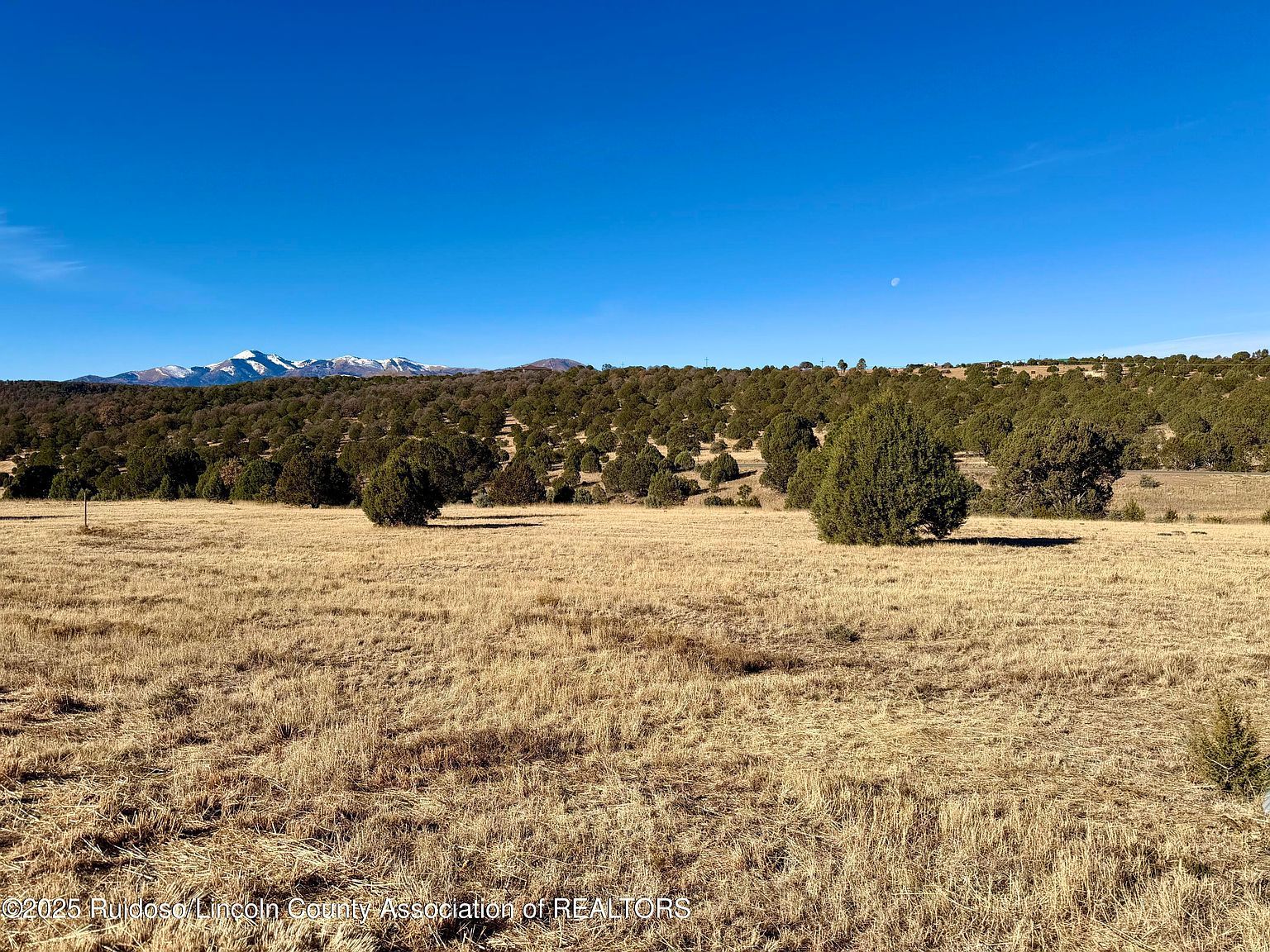 118 Rainmaker Dr Alto, NM 88312 - Thumbnail 3