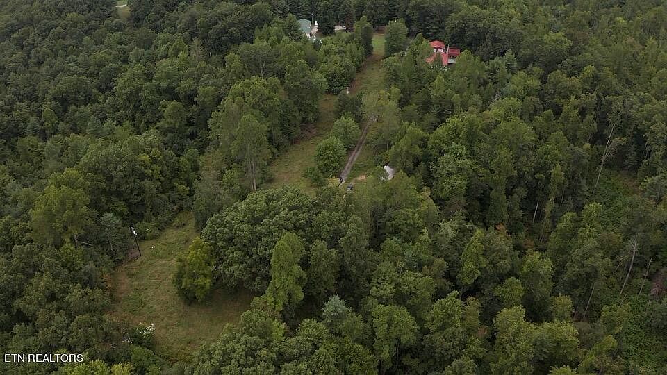 144 Gunter Pl Sunbright, TN 37872 - Thumbnail 3