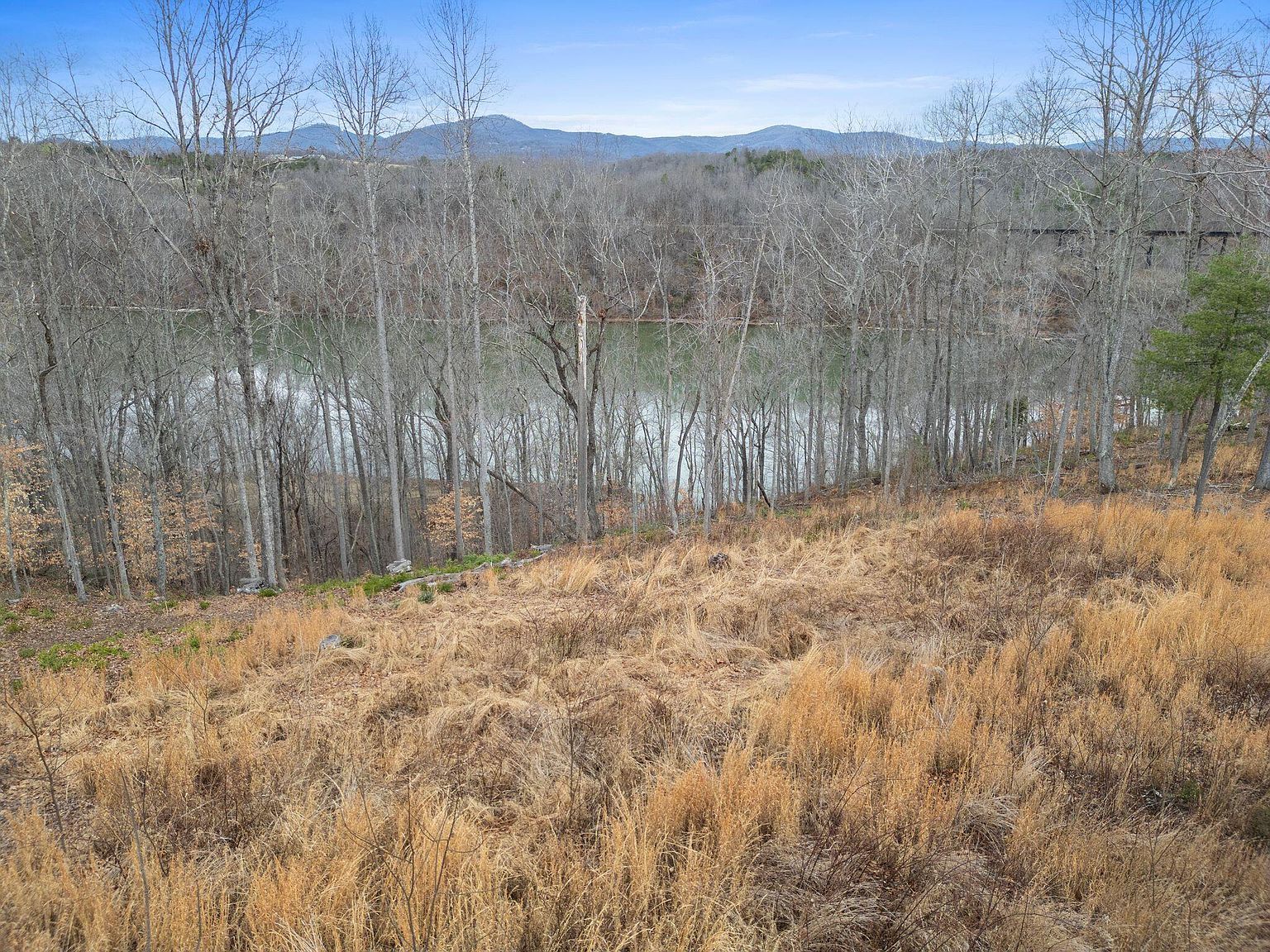 47 Pearl Dr Hardy, VA 24101 - Thumbnail 3