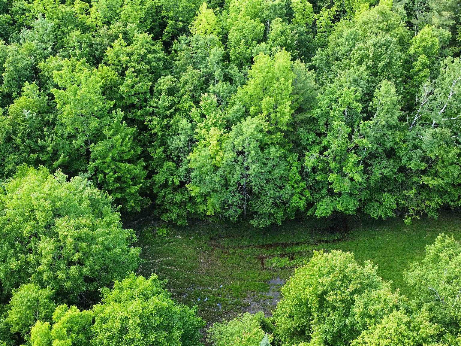 882 Morse Rd North Haverhill, NH 03774 - Thumbnail 3