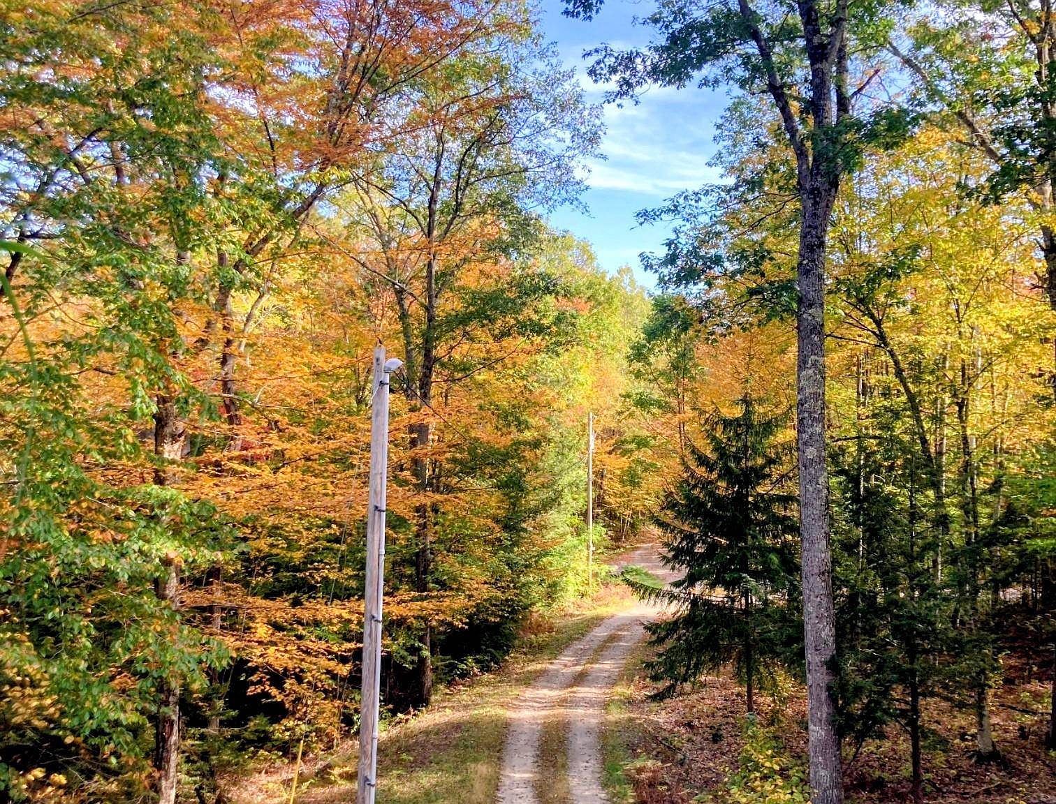 5 Windgate Terrace 136 #&-137 Woodsville, NH 03785 - Thumbnail 3