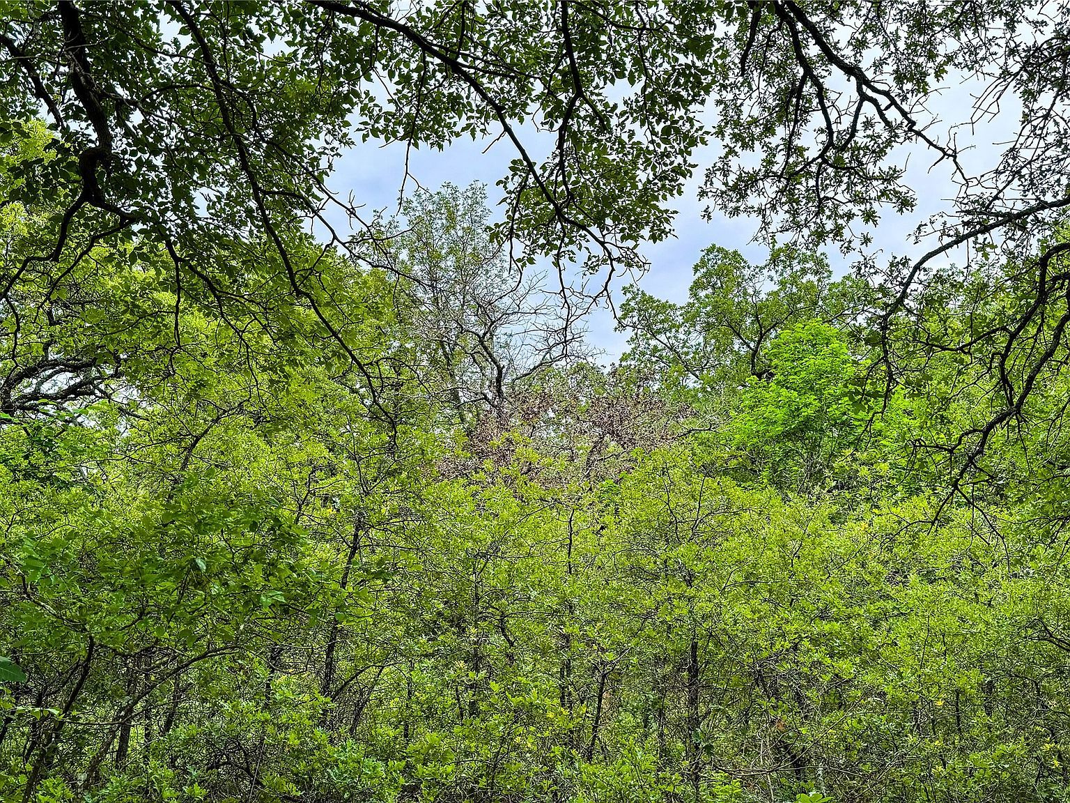 143 Briarwood Trl Nocona, TX 76255 - Thumbnail 3