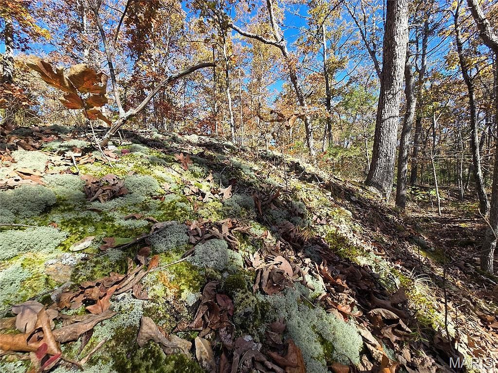 107 Railroad Ln Doe Run, MO 63637 - Thumbnail 3