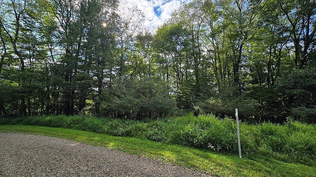 0 Orchard Dr Tionesta, PA 16353 - Thumbnail 3