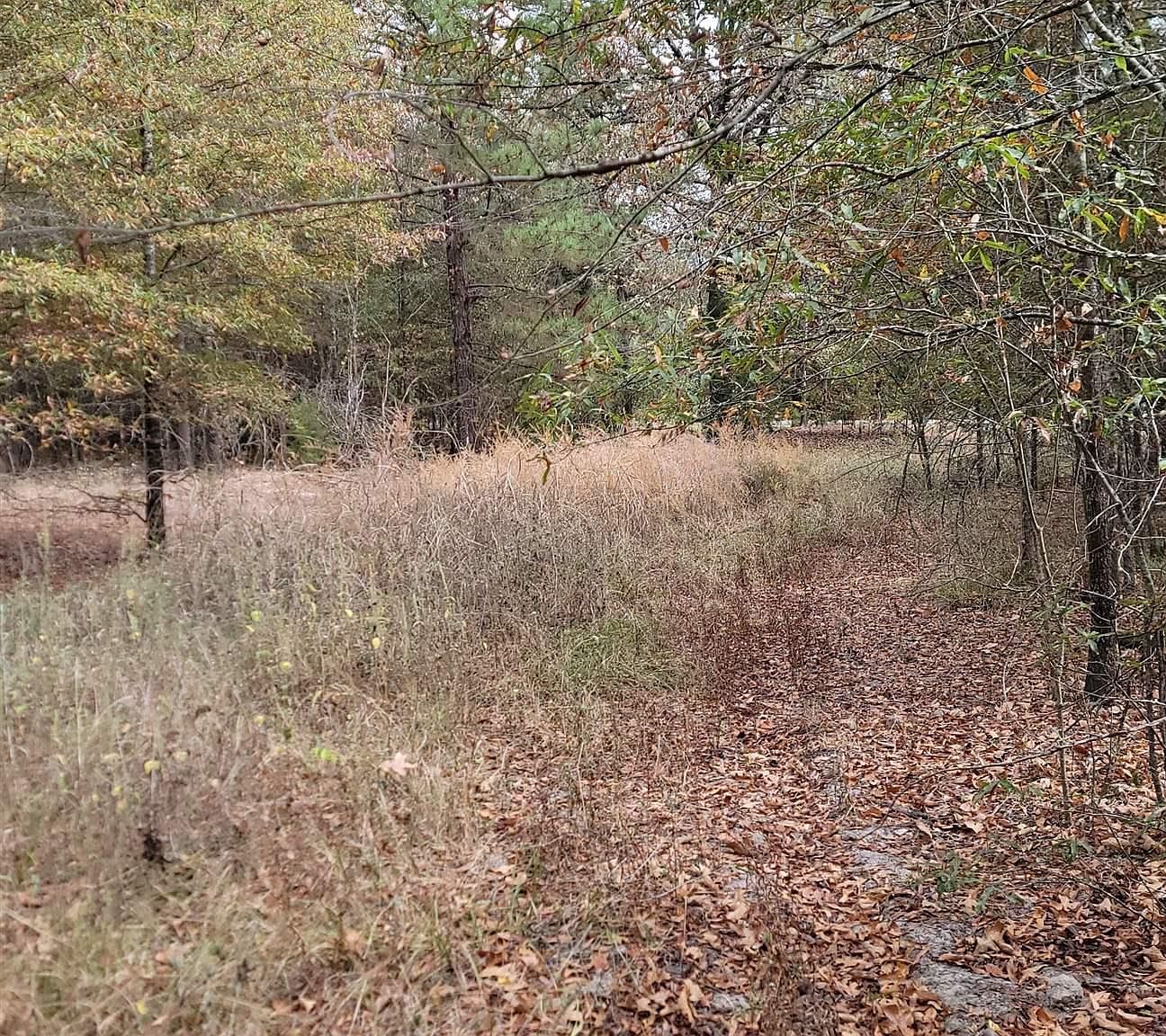 6202 S Texas State Hwy #37 Clarksville, TX 75426  | Land/Lot