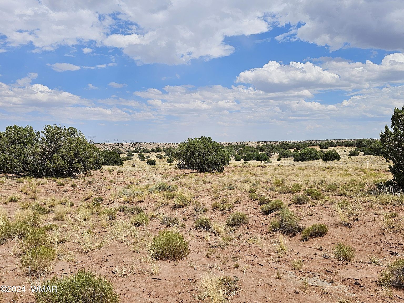 94 County Road 9027 N Concho, AZ 85924 | Single Family