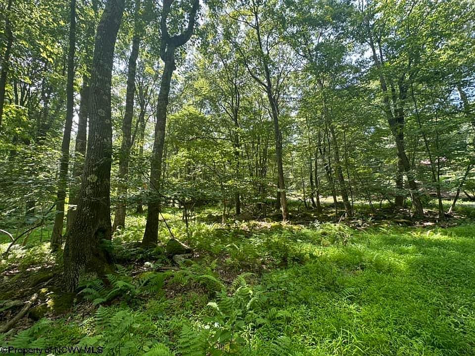 10 Aster Dr Terra Alta, WV 26764  | Land/Lot