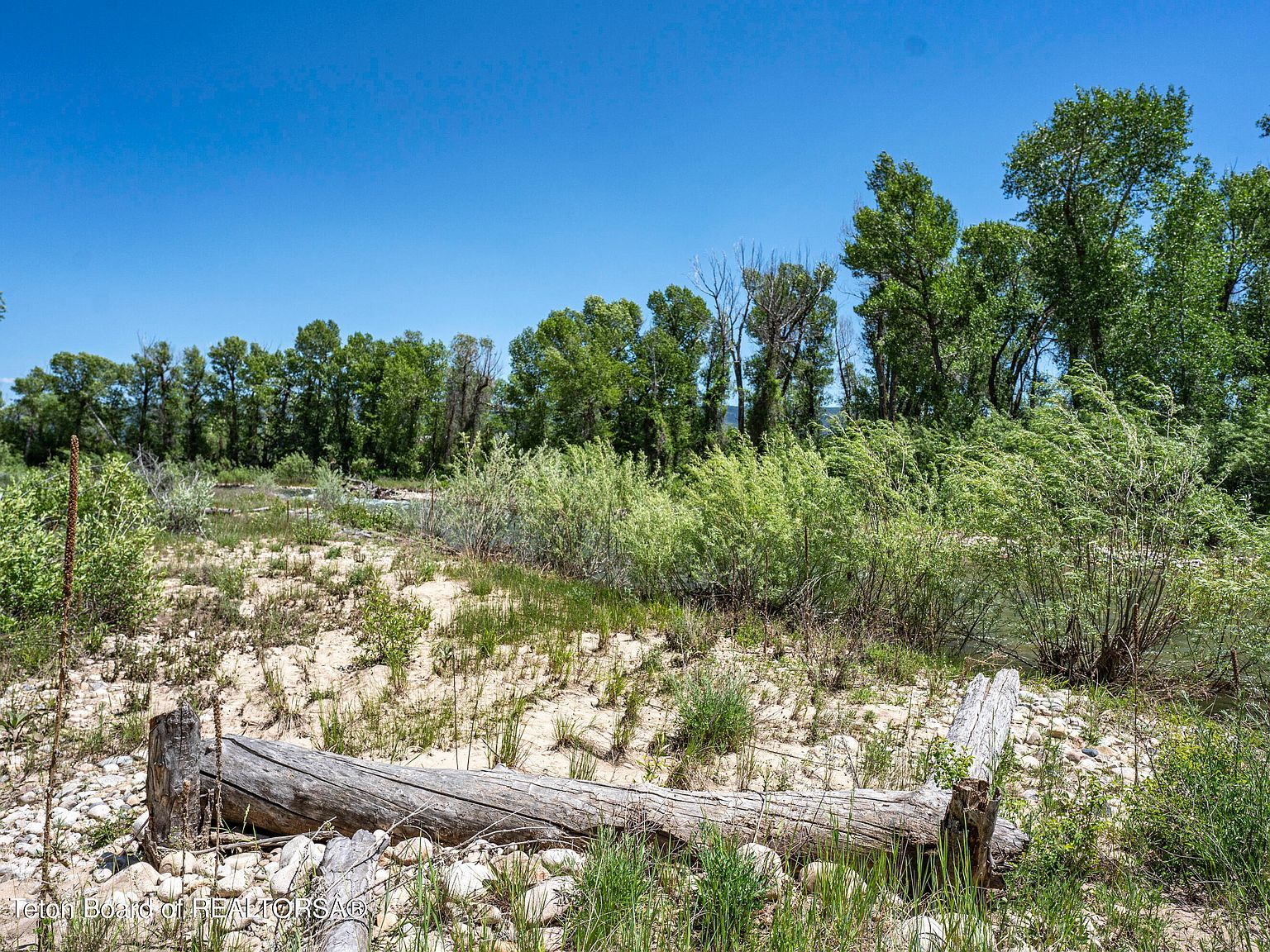 129 Cobble Creek Ln Driggs, ID 83422  | New build