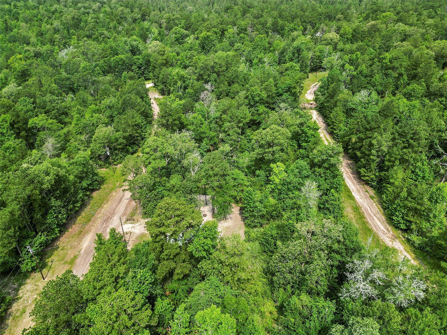 163 Shadywood Dr Trinity, TX 75862  | Land/Lot