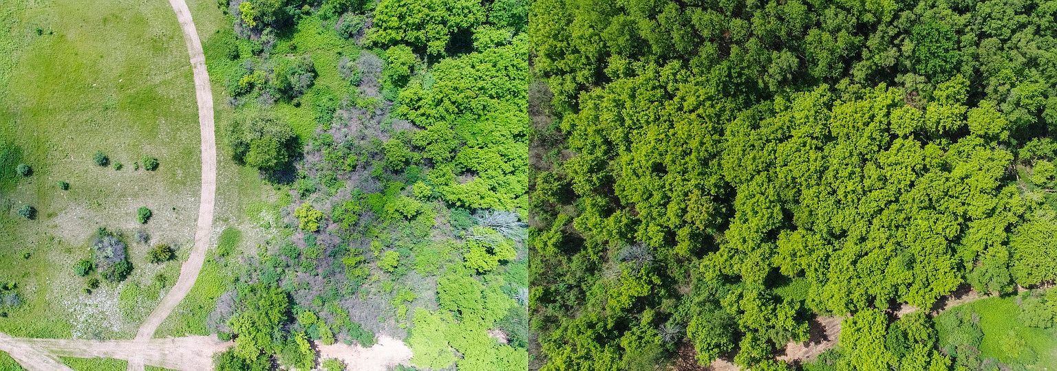 1811 Il Route Rd #25 Barrington, IL 60010 | Land/Lot