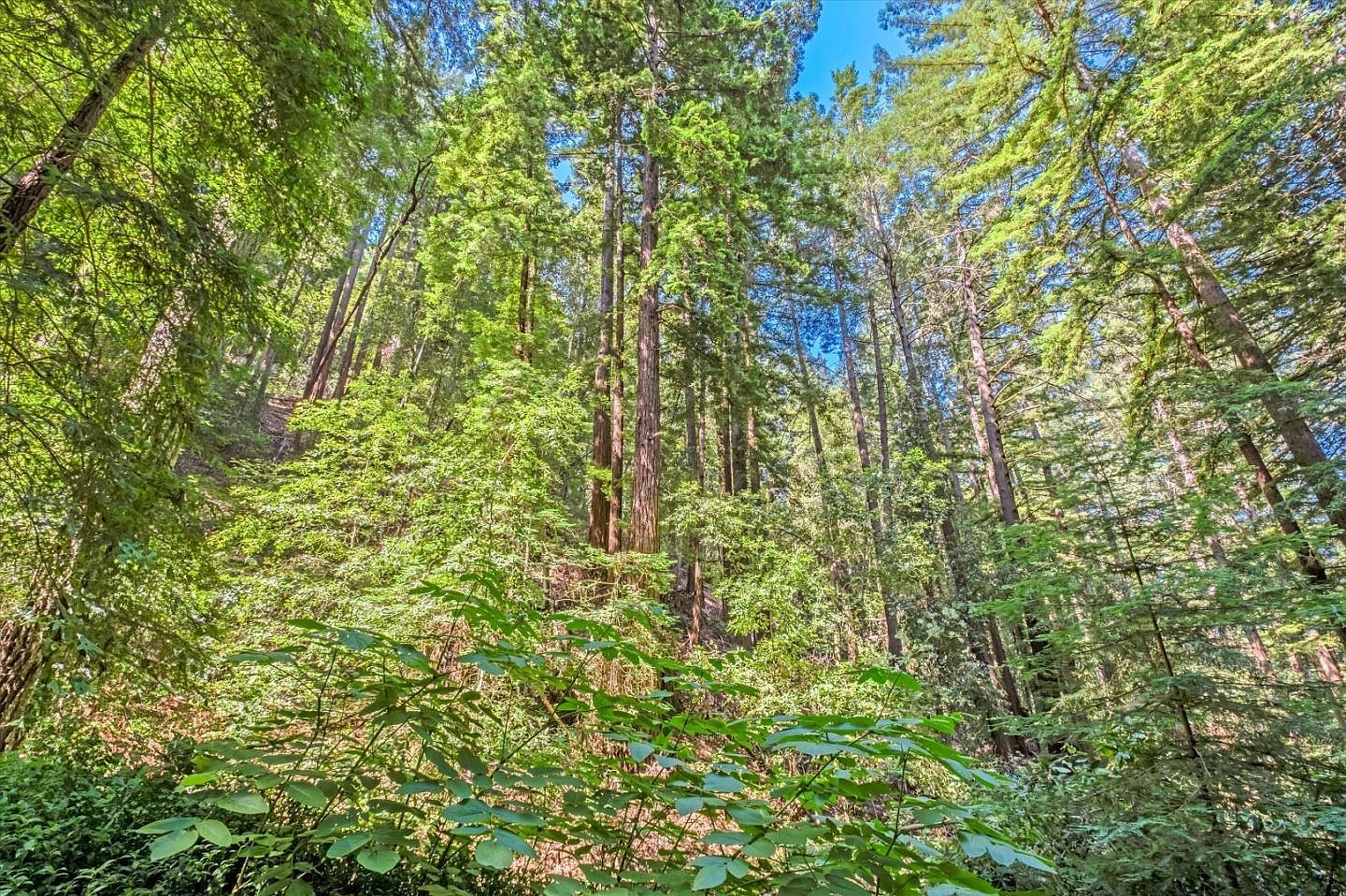 700 Laurel View Rd Los Gatos, CA 95033  | Single Family