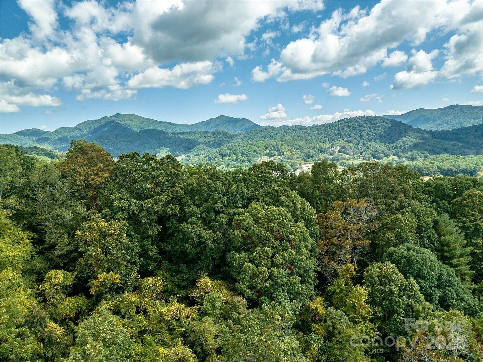 74 Buckeye Cove Rd Canton, NC 28716 | Land/Lot