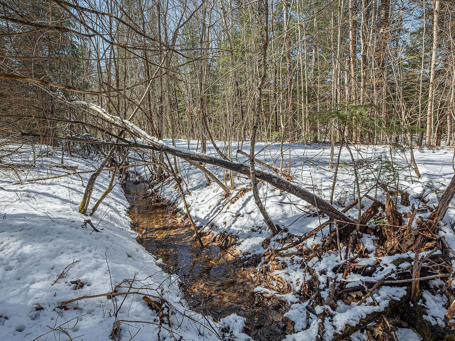 56.97 Ac Hwy #77 Upson, WI 54565  | Land/Lot