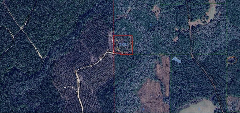 21145 Darrens Way Ln Florala, AL 36442 | New build