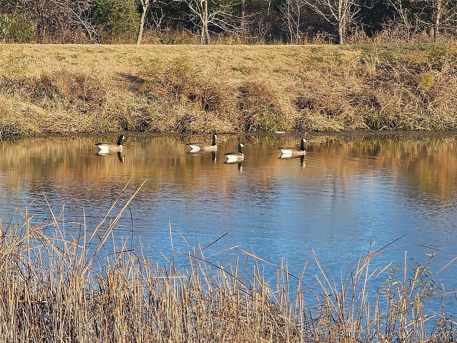 19081 Orchard Cir Catoosa, OK 74015  | Single Family