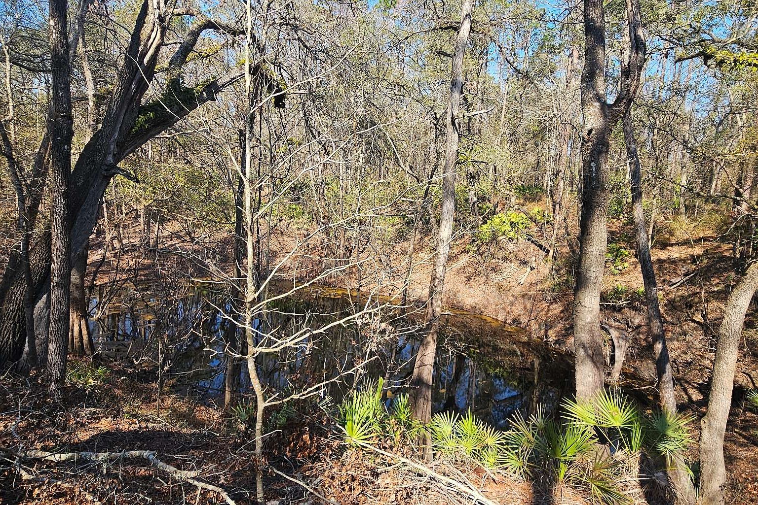 619 NW Lonnie Ln White Springs, FL 32096  | New build