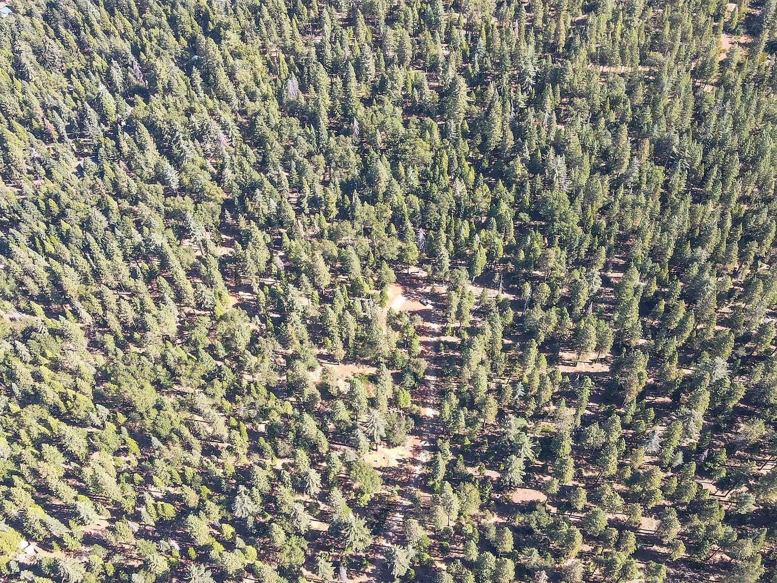 0 State Highway 44 Shingletown, CA 96088  | Land/Lot