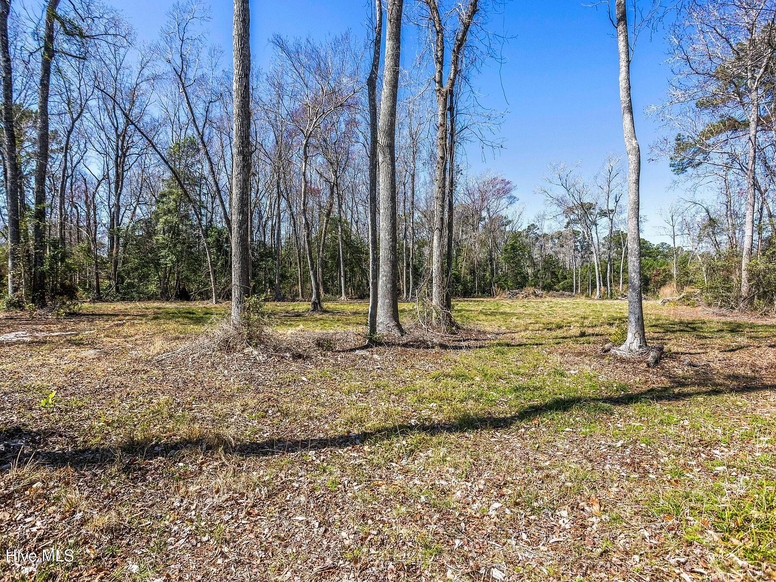 634 Persimmon Rd Calabash, NC 28467  | Land/Lot