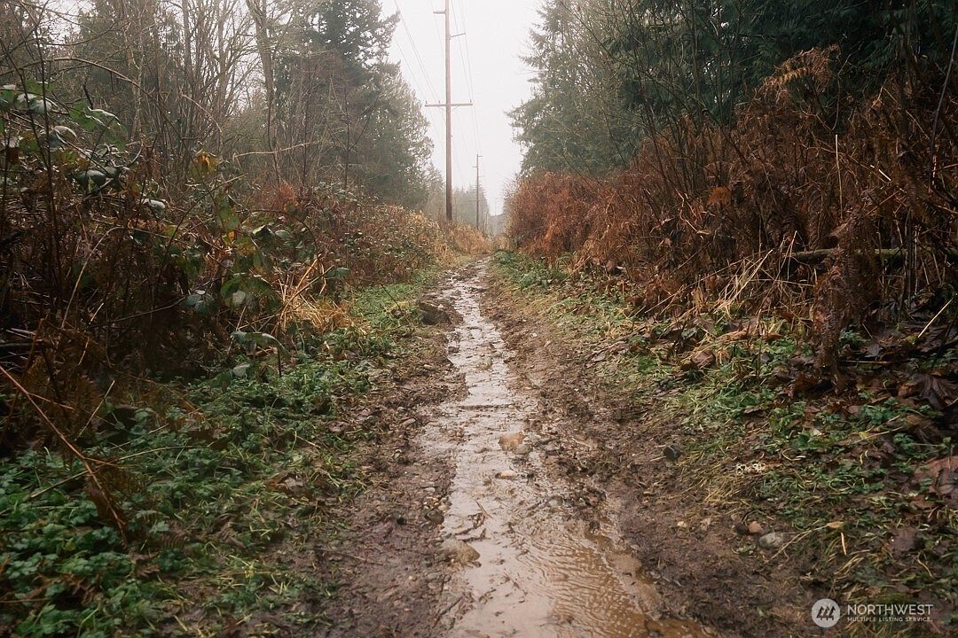 950 Yew St Bellingham, WA 98229  | Land/Lot