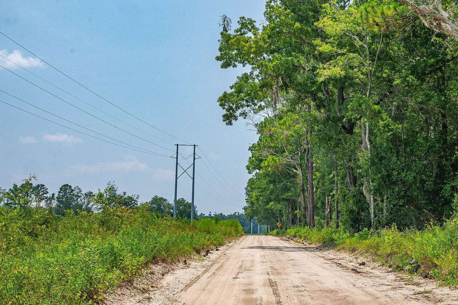 0 NE Dusty Miller Ave Madison, FL 32340  | Land/Lot