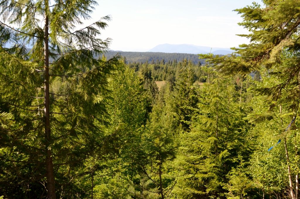 NNA Cottage Ln, Bonners Ferry, ID, 83805 | Land/Lot