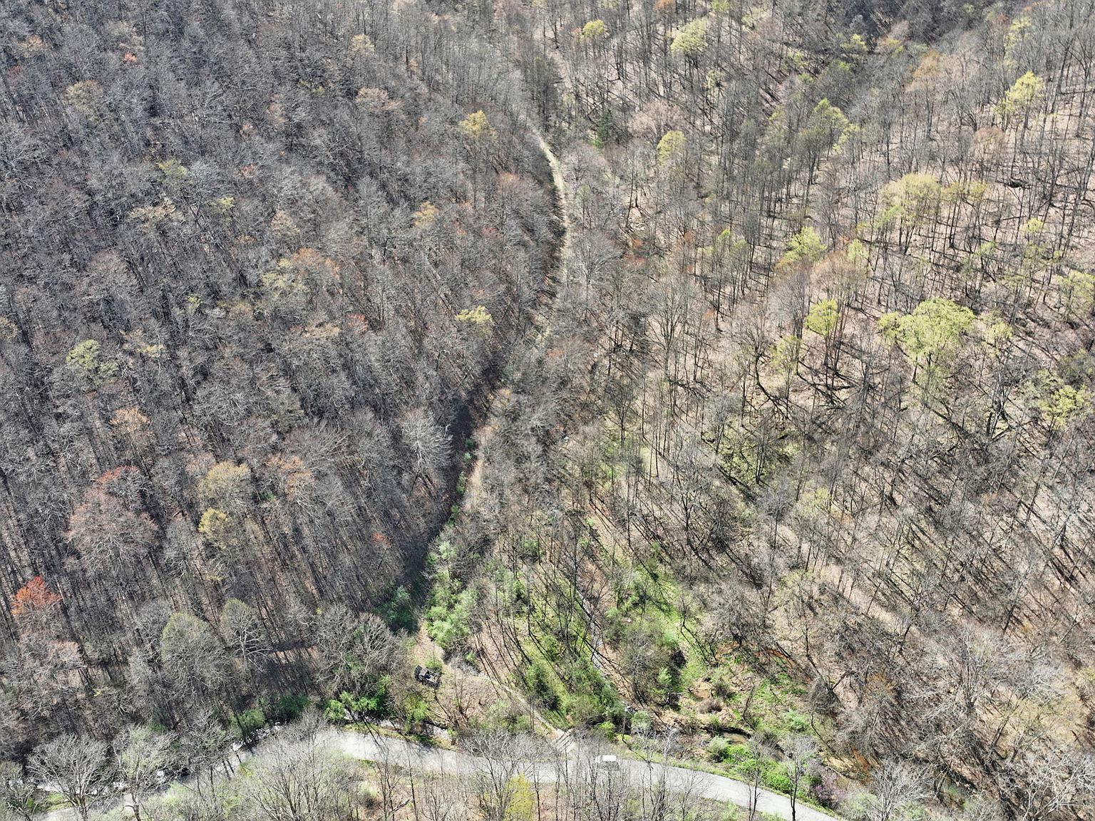 0 Guesses Fork Rd, Hurley, VA, 24620  | Land/Lot