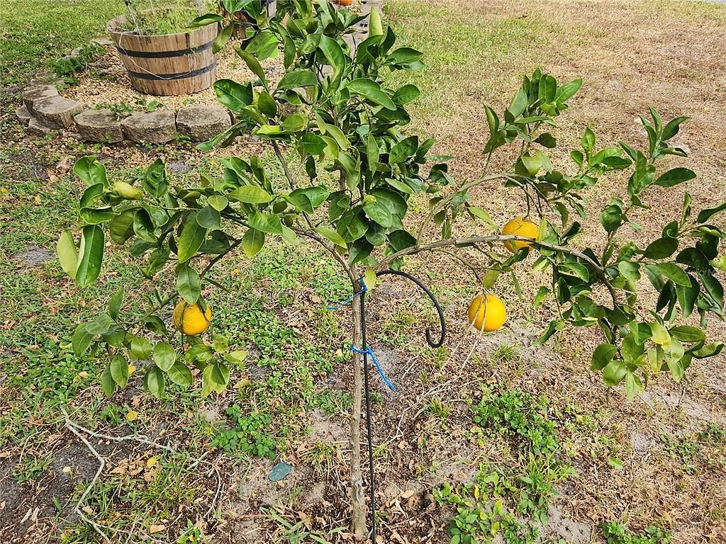 11187 Blythville Rd Spring Hill, FL 34608  | Single Family