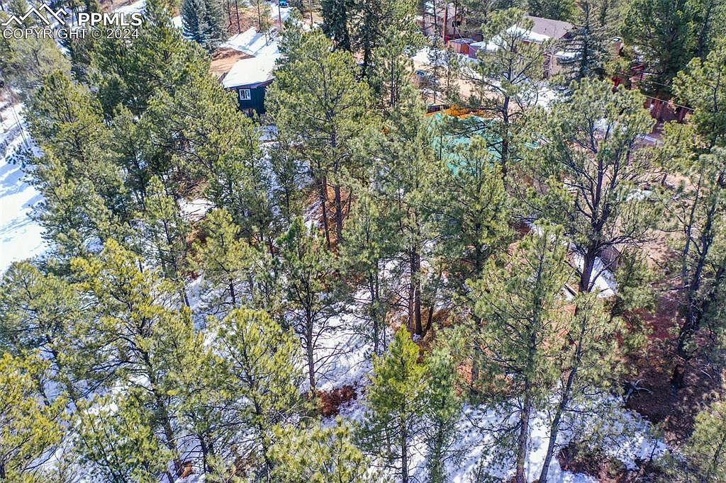 257 Mesa Dr Florissant, CO 80816  | Land/Lot
