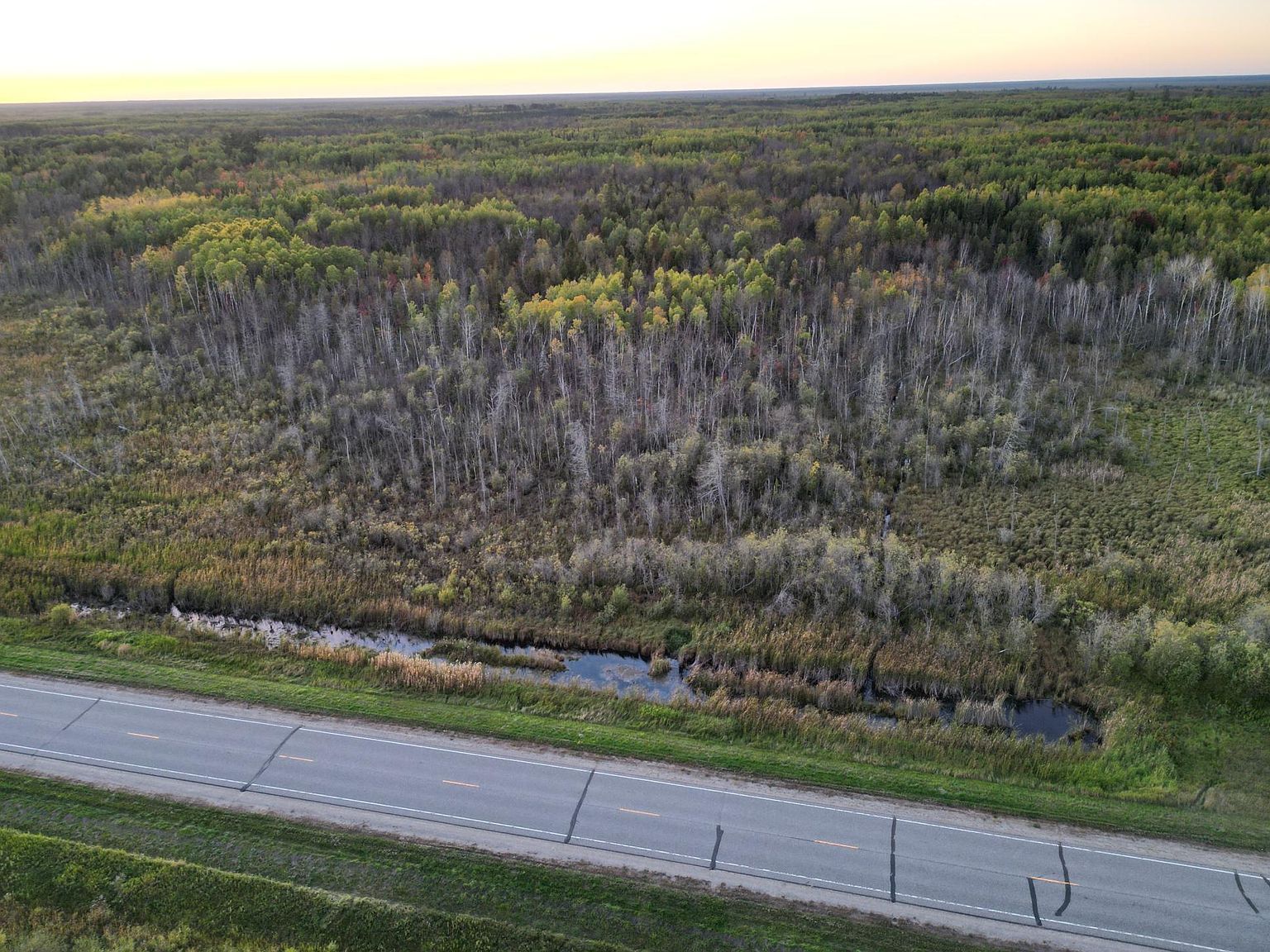 Us Highway 71 Big Falls, MN 56627 | Land/Lot