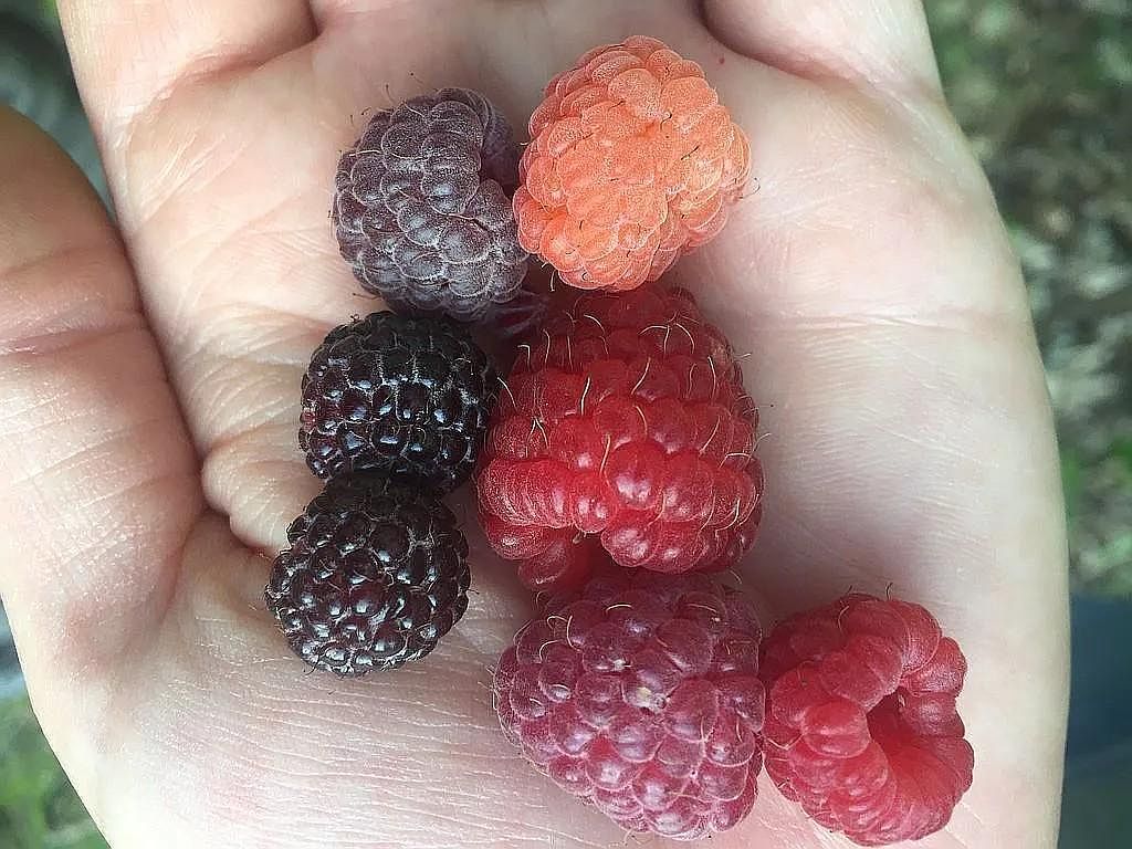 66605 Norway Spruce Rd Finlayson, MN 55735  | Single Family