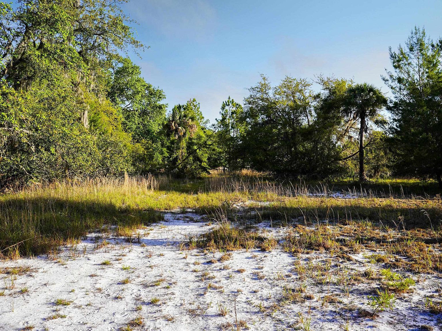 356 Drayton Island Rd Georgetown, FL 32139 | Land/Lot