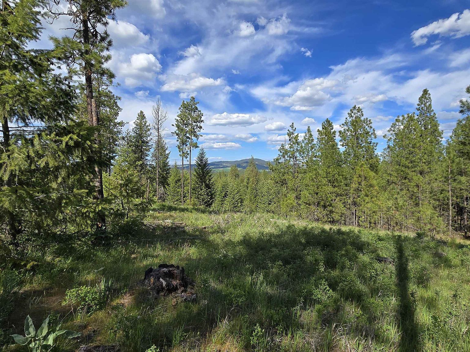 22XX E Miller Rd Spangle, WA 99031  | Land/Lot