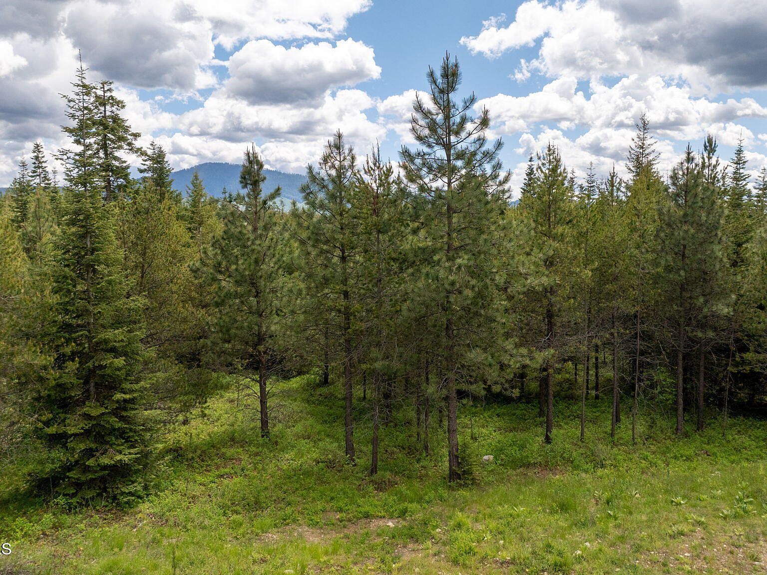 8917 E Riley Loop Athol, ID 83801 | Single Family