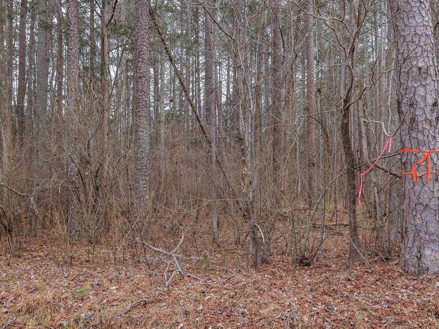 3 Piney Green Rd Crewe, VA 23930 | Land/Lot
