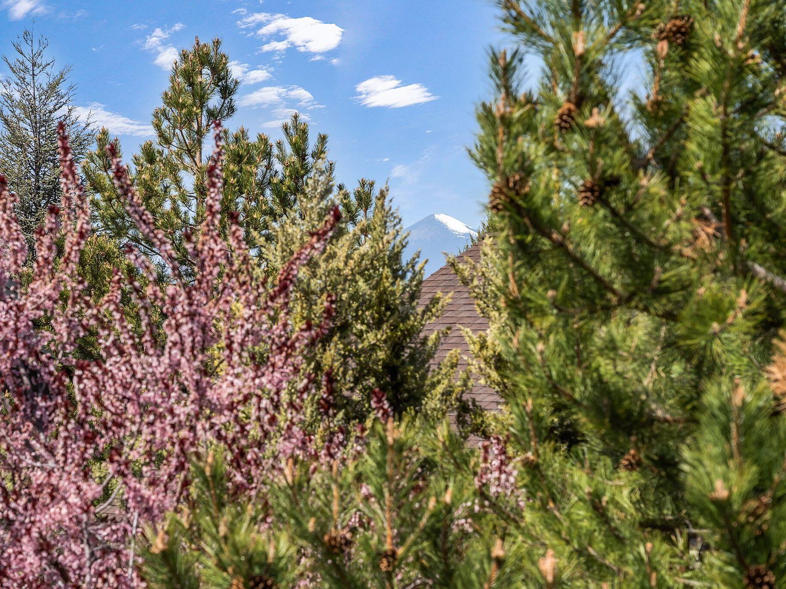 10870 Village Loop Redmond, OR 97756  | New build