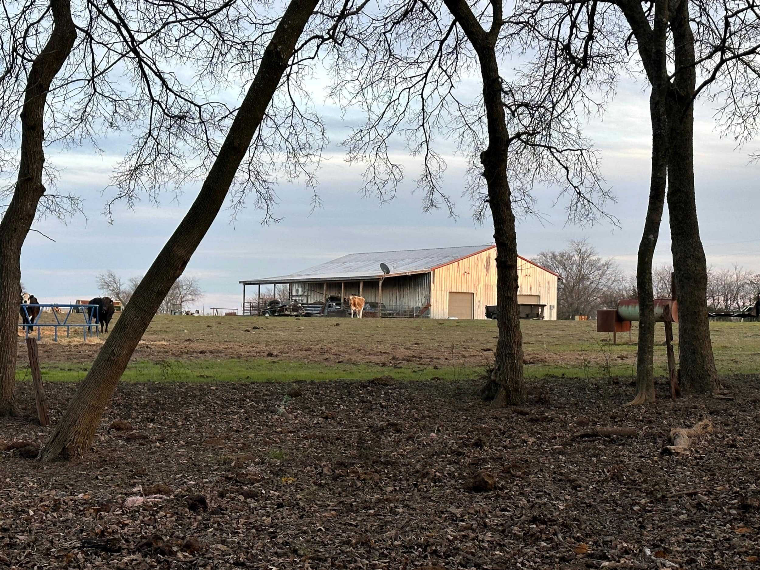 2339 Rose Hill Rd, Whitewright, TX, USA, Whitewright, TX, 75491 | Land/Lot