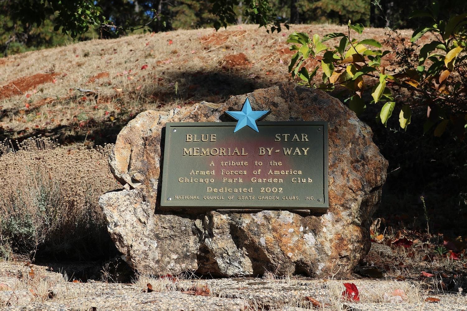 17710 Lower Colfax Rd Grass Valley, CA 95945  | Land/Lot