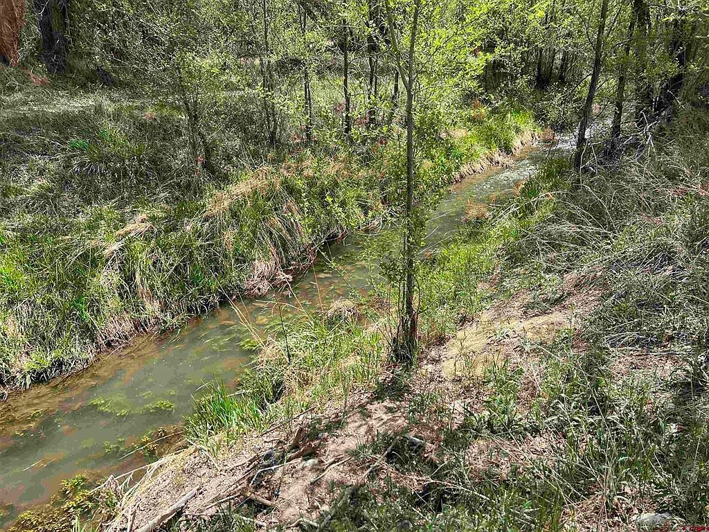 63749 Spring Creek Rd Montrose, CO 81403  | Single Family