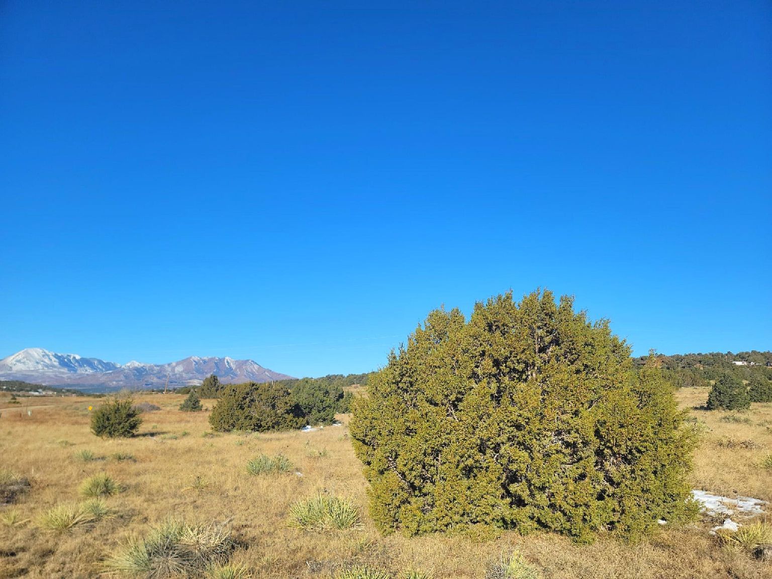 131 Navajo Ranch Resorts #2 Walsenburg, CO 81089 | Land/Lot