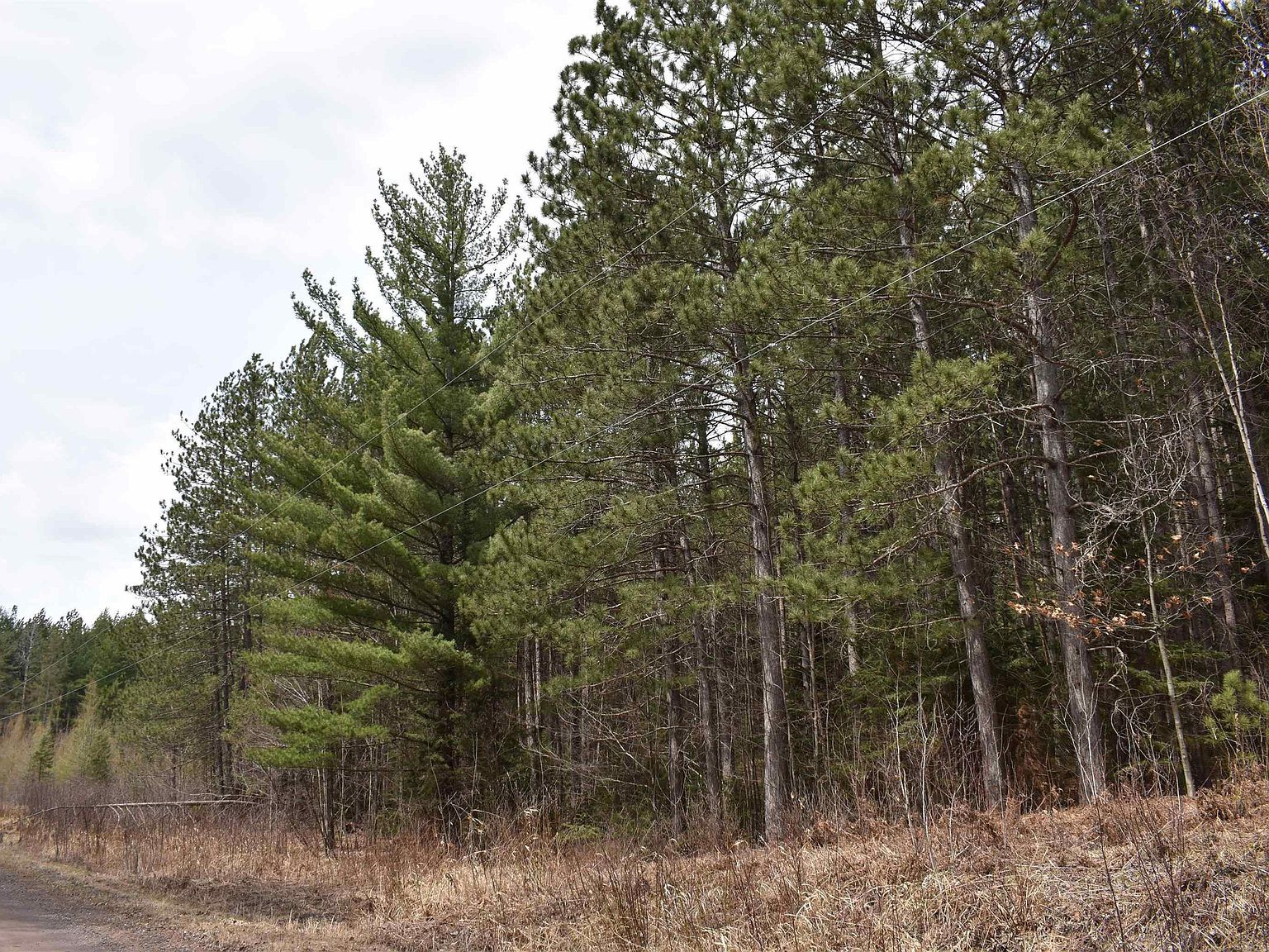 8697 E Town Line Rd Hawthorne, WI 54842  | Land/Lot